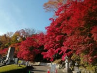 茨城県最高峰の「八溝山の紅葉｣と「永源寺｣　「里美かかし祭と音楽祭｣も　それに「月待の滝｣や「竜神大吊橋｣「ＮＨＫ朝ドラのロケ学校｣「りんご狩り｣など　泊まりは奥久慈大子温泉で