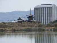 天平の大寺院 薬師寺、唐招提寺を巡る(奈良市・西ノ京)