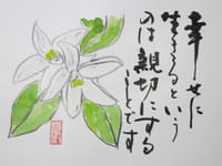 絵手紙柚子の花