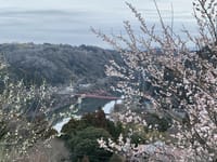 月ヶ瀬梅園と奈良公園