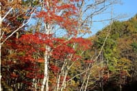 写真３枚は、福島県の紅葉、大内宿、東北新幹線からの冠雪の富士山