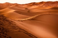  70歳中小企業経営者の挑戦！サハラ砂漠250kmを7日で走破に挑む！