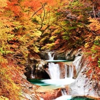 紅葉めぐり！ 紅葉と渓谷と滝のコラボ風景