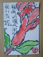 飯野山日記　２０日　１日絵手紙を描くことに没頭・・・・
