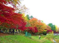 催行中止とします　☆　落ち葉を踏みしめ　道に迷いながら武蔵野を抜ける旅（この場所を歩くと何故か小さな幸せを感じます・・・）