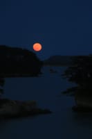 無事、今年も三月十五夜の朧月（松島の月）を撮影終えました。