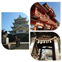 千葉神社、千葉寺、千葉城（猪鼻城）を巡りました。