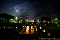 ☆　月見の会（向島百花園）・幻想的な夜の庭園で過ごす秋の夜