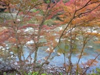 紅葉と渓流～奧津渓～