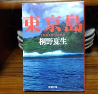 小説「東京島」