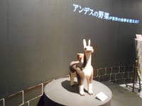 古代アンデス文明展に行ってきました(2018.1.30)国立科学博物館