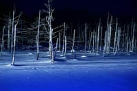 「厳寒の北海道の風景写真」