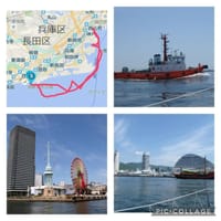 愛艇で神戸港巡り⛵️
