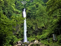 岐阜の美しい自然「阿弥陀が滝」