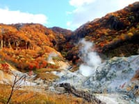 「日本の紅葉の名所一覧と定山渓の思い出」