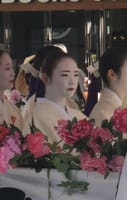 【先斗町】花街の屋台 祇園祭 花傘巡行 2023年7月24日(月)