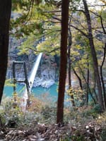 三でも会　紅葉の秋、飯田線と天竜峡を楽しみましょう