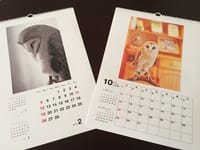 12枚の天使　オリジナルカレンダー作り2018年度版