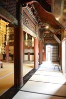 和歌山の新指定重文訪問でついでに和歌山城と大名庭園再訪　5月20日