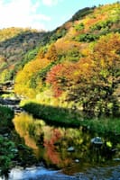箱根湯本・須雲川沿いから飛烟(ひえん)の滝へ  2022-11-25