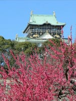 大阪城梅林に春を探しに行きましょう
