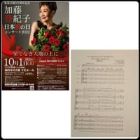 加藤登紀子さんと歌う百万本の薔薇の原曲