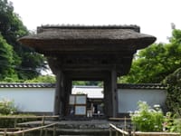 鎌倉の紫陽花巡り －長壽寺から－