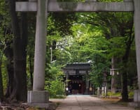 都内でも千年を越す歴史の眠る赤坂の鎮守の森