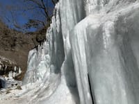 今年も雲竜渓谷の氷瀑を見てきました。(^^♪