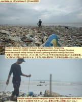 画像シリーズ605「チサダネ川の河口でゴミの海を目撃」”Penampakan Lautan Sampah di Muara Sungai Cisadane”