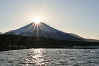 高速バスで行く、大平山（1295.5m）★山中湖の花の都公園から沈むダイヤモンド富士が見られるかな？