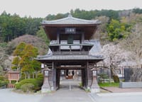 小川町散歩 ―カタクリと桜の西光寺を訪れてー