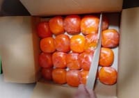１個６円75銭の超完熟種無し柿