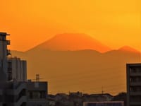 写真３枚は、夕暮れの富士山、ハギと住友ツインタワー、日の出前の富士山