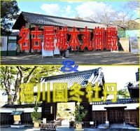 今年初のデジカメ散歩・・名古屋城と徳川園の冬牡丹！！