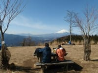 新緑の高松山＆中津川枝垂れ桜コースを歩く