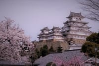 世界遺産姫路城の桜　　2022.4.2