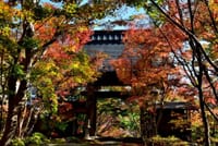 長野県飯山・称念寺 2023-11-9