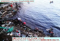 画像シリーズ874「テルナテの海洋プラスチック廃棄物」 “Sampah Plastik Cemari Laut di Ternate”