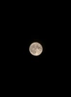 満月から時間が過ぎましたがとりあえず同じ8/2ということで、綺麗なお月様でした。8/2(水)21:50 