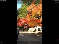 コミュで京都　高尾の紅葉見物に行ってきました。