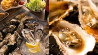 【10/6】焼牡蠣、牡蠣フライ食べ放題＆飲み放題2.5時間