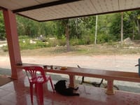 タイ南部田舎暮らし···私の居場所（2）
