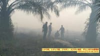 「警察はリアウ州での野焼き事件の容疑者を確定」 ” Polisi Tetapkan Tersangka Kasus Pembakaran Lahan di Riau”