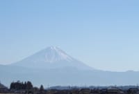 富士山を一枚