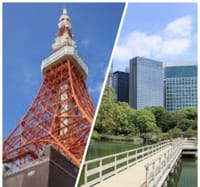 いよいよ春が来た🌸！東京タワー・増上寺・気象科学館　都心の春と歴史を散策～
