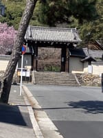 健活ウォーク⑤‗岩倉、妙満寺を史跡ガイドと巡る
