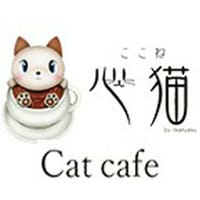 奈良市の猫カフェ＋奈良町の散策とお食事会(昼飲み可)😸