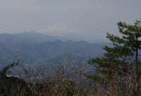 初冬の生藤山・陣馬山へ富士山眺めに笹尾根から歩きます
