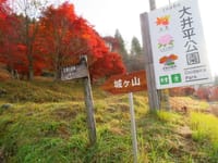 紅葉真っ盛りの大井平公園から夏焼城ヶ山